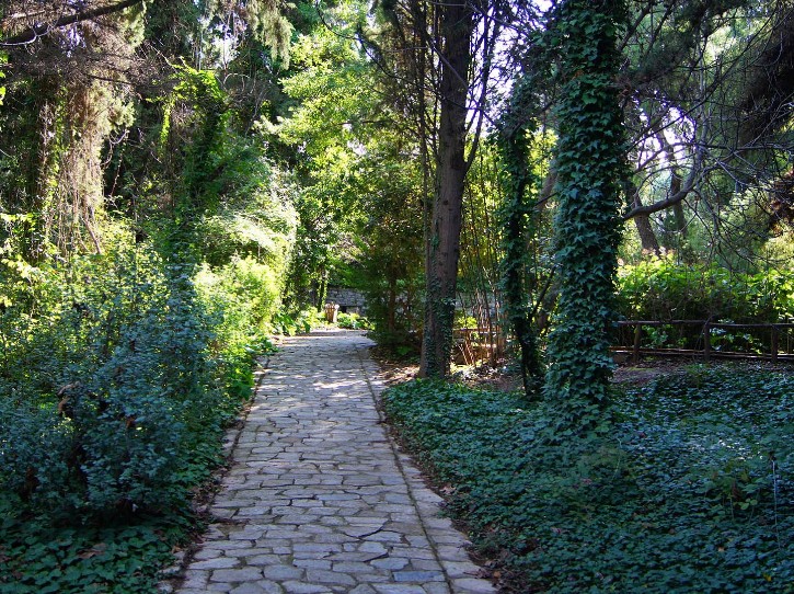 The-Botanical-Garden-of-Iulia-and-Alexander-Diomedes